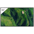 Sony Pro FW-65BZ35P 65" High Brightness 4K HDR Professional Display with Deep Black Non-Glare Standard and IP5X Dust Resistance, 500 nit