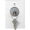 RCI 960 Tamper-Resistant Key Switch, DPDT, Momentary, Brushed Anodized Aluminum