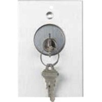 RCI 960 Tamper-Resistant Key Switch, DPDT, Momentary, Brushed Anodized Aluminum