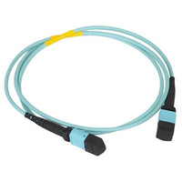 ICC ICFOJATQ10 NCNR 12-Fiber Jumper, MTP-MTP, Multimode, 50/125 OM4