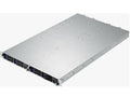 MiTAC B8028Y190X2-030V4H 2 single Opteron 6100 server nodes