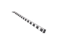 Eaton Tripp Lite PS3612 12-Outlet Vertical Power Strip, 120V, 15A, 15 ft. (4.57 m) Cord, 5-15P, 36 in