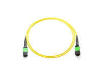 Axiom 980-9I58G-00N030-AX MPO-MPO OS2 F/F Fiber Cable 30m