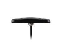 Taoglas MA412.A.BI.006 Storm Screwmount 1M LTE(1&2) CFD-200 SMA(M)