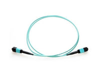 Axiom MPOFFOM420M-AX MPO-MPO OM4 F/F Fiber Cable 20m