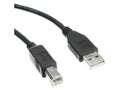 Axiom USB2ABMM10-AX USB 2.0-A to USB-B Cable 10ft