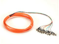 Black Box FOPT50M1-ST-12OR-3 OM1 62.5-Micron Multimode Fiber Optic Pigtail - 12-Strand, OFNR, PVC, ST, Orange, 3-m (9.6-ft.)