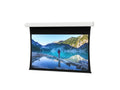 Da-Lite 34542FLS Tensioned Advantage 113" Diag. HD Progressive Contrast 1.1 - Surface & Roller & Motor Assembly Only (installs into matching B case)