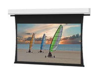 Da-Lite 88293F Tensioned Advantage Deluxe 119" Diag. Da-Mat - Surface & Roller & Motor Assembly Only (installs into matching B case)