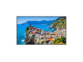 Panasonic TH-50EQ2W 50Inch Professional 4K Digital Display 500CD/M with HDMI(X2), DVI-D(IN/OUT), Component, Composite, PC, USB3.0 and RS232C / LAN Control