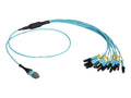 Black Box FOHC20M3MPLC12AQ-3R2 3M MTP OM3 Fiber Optic Harness Cable Plenum 12-STRAND