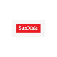 SanDisk SDSDUGN-256G-GN6IN Ultra Go SD UHS-I 256GB SD 190MB/s(R)