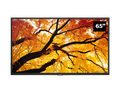 Sharp NEC PN-M652 PN-M Series 65" 4K UHD Commercial Display