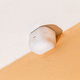 Shelly Wave Motion - side view | Silarius