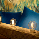 Shelly Vintage A60 - detail view | Silarius