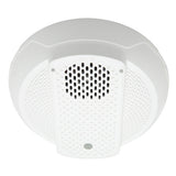 System Sensor HCWL2-LF Ceiling Mount Sou
