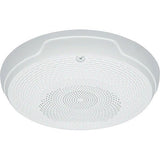 System Sensor SPCWL L-Series Indoor Sele