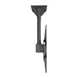 SunBrite SB-CM-T-L-BL Ceiling Mount for