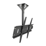 SunBrite SB-CM-T-L-BL Ceiling Mount for