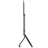 Optoma FHDC163 163 ProScene All-in-One