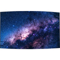 LG 55EF5G-L Series 55" Flexible Curved Open-Frame OLED Signage Display (Landscape)
