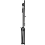 Shure KSM8 Dualdyne Dynamic Handheld Microphone Live Stage Kit (Nickel)