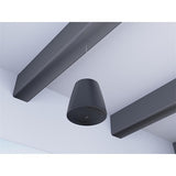 Bose Professional 835265-0120 DesignMax DM10P-SUB 10" Pendant Subwoofer, Indoor, 300W, Black