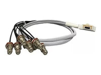 AccelTex ATS-00027 100 Series 8 Port Right Angle DART to RPTNC Bulkhead Jack 3 ft Cable Assembly
