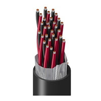 Belden 95240601000 9524 Series 15-Pair 2