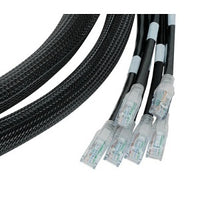 Belden C601109010A08 8-Position Harness