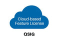 Patton CBFL-QSIG Cloud Feature License, QSIG, 12 Months