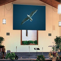 Draper 116240QL 119" Targa Electric Projection Screen with Quiet Motor and Low Voltage Controller, HDTV, Matt White XT1000E
