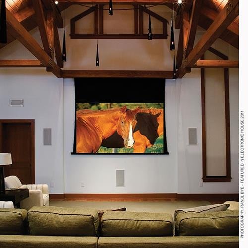 Draper 140040L Access 165" Electric Projection Screen