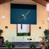 Draper Z454444-1 Projector Screen, TARGA with White Mount, 96" Height x 120" Width, Includes 48" Black