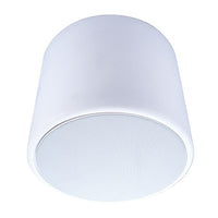 Beale Street PESV-8W 8 inch Pendant Speaker White