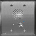 Viking E-60-SS-EWP 2-Gang Stainless-Steel Entry Phone with Enhanced Weather Protection