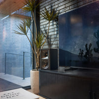 Klipsch The Fives II Walnut
