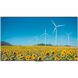 Hisense 55DP30FE 4K UHD Digital Signage Display - 16/7 Operation - front