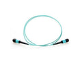 Axiom AXG94827 MPO-MPO OM3 F/F Fiber Cable 30M