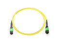 Axiom AXG95138 MPO-MPO OS2 F/F Fiber Cable 10M