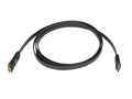 Crestron FT2A-CBL-PT-4K-HD Pass-Through Cable for FT2 Series, HDMI to HDMI, 18 Gbps, 8 ft (2.4 m)