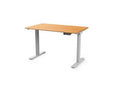 Humanscale FYH12TS2448BM EFloat Go 2.0 Sit/Stand T-Foot Style Table with 24IN x 48IN Bamboo Surface and T-Foot Style Silver Base