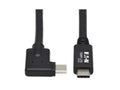 Eaton Tripp Lite U420-01M-G25ARA USB-C Cable (M/M) - USB 3.2 Gen 2 (10 Gbps), 5A (100W) Rating, Thunderbolt 3 Compatible, Right-Angle Plug