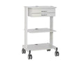 Eaton Tripp Lite WWSS2DWSTAA Mobile Workstation with 2x Adjustable Shelves, 2x Metal Drawers, Locking Casters, TAA