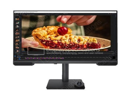 Computer & Video Monitors