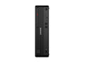 Lenovo 12YQ0020US Desktop TC M70s Gen 6 U5235 32G N W11P