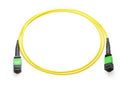 Axiom MFP7E30-N001-AX MPO-MPO OS2 F/F Fiber Cable 1m