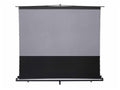 Elite Screens FT122H-CLR5 ezCinema Tab-Tension CLR 5, 122 Diag. 16:9, Manual Floor Pull Up Ceiling Ambient Light Rejecting Screen