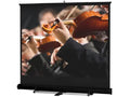 Da-Lite 40285 Model C Floor 12' x 12' Matte White Manual Projection Screen