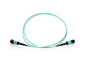 Axiom MPOFFOM410M-AX MPO-MPO OM4 F/F Fiber Cable 10m